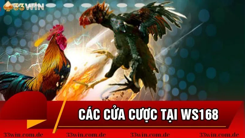 Các cửa đặt cược chính tại WS168 đá gà